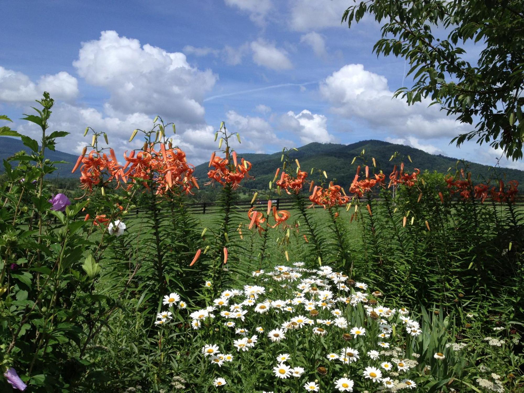 Montfair Resort Farm Crozet Buitenkant foto