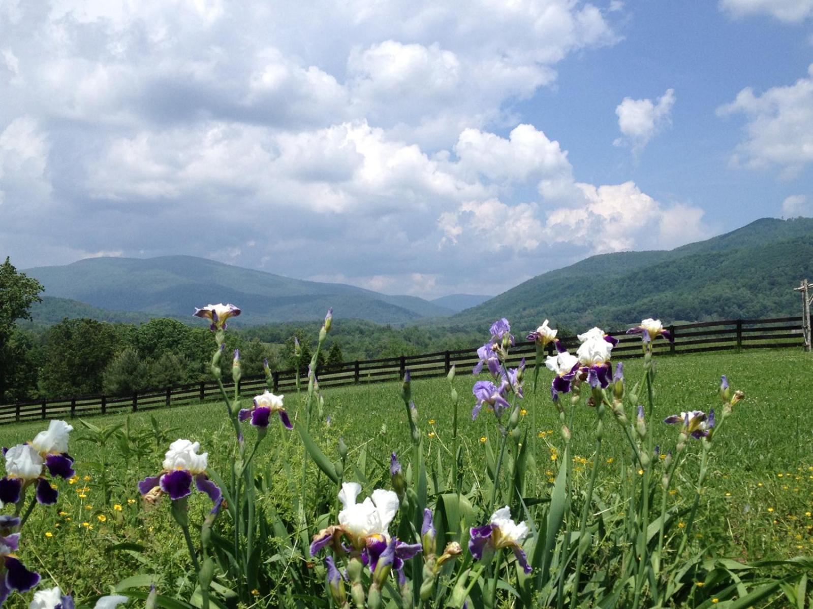 Montfair Resort Farm Crozet Kamer foto