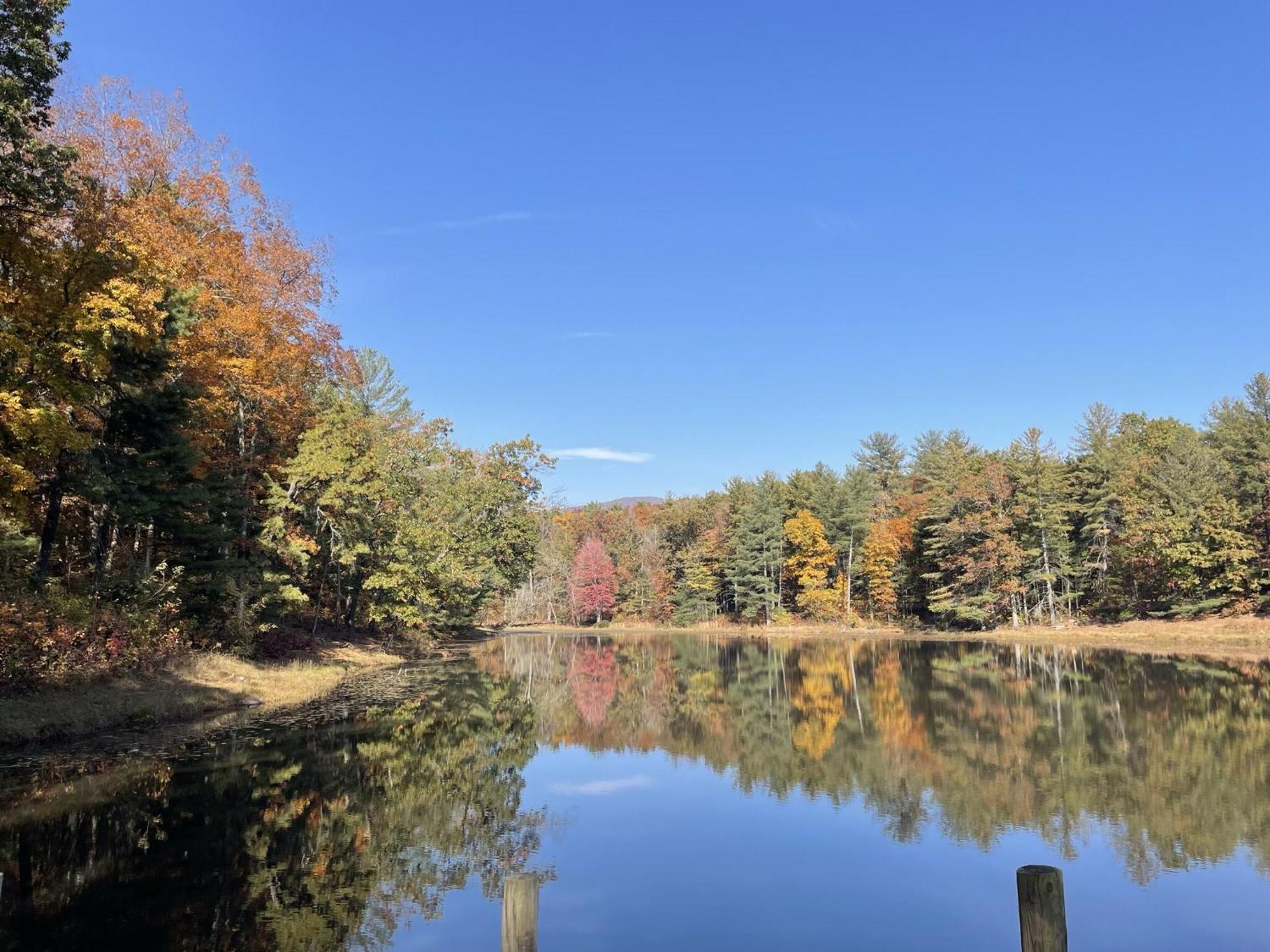 Montfair Resort Farm Crozet Buitenkant foto