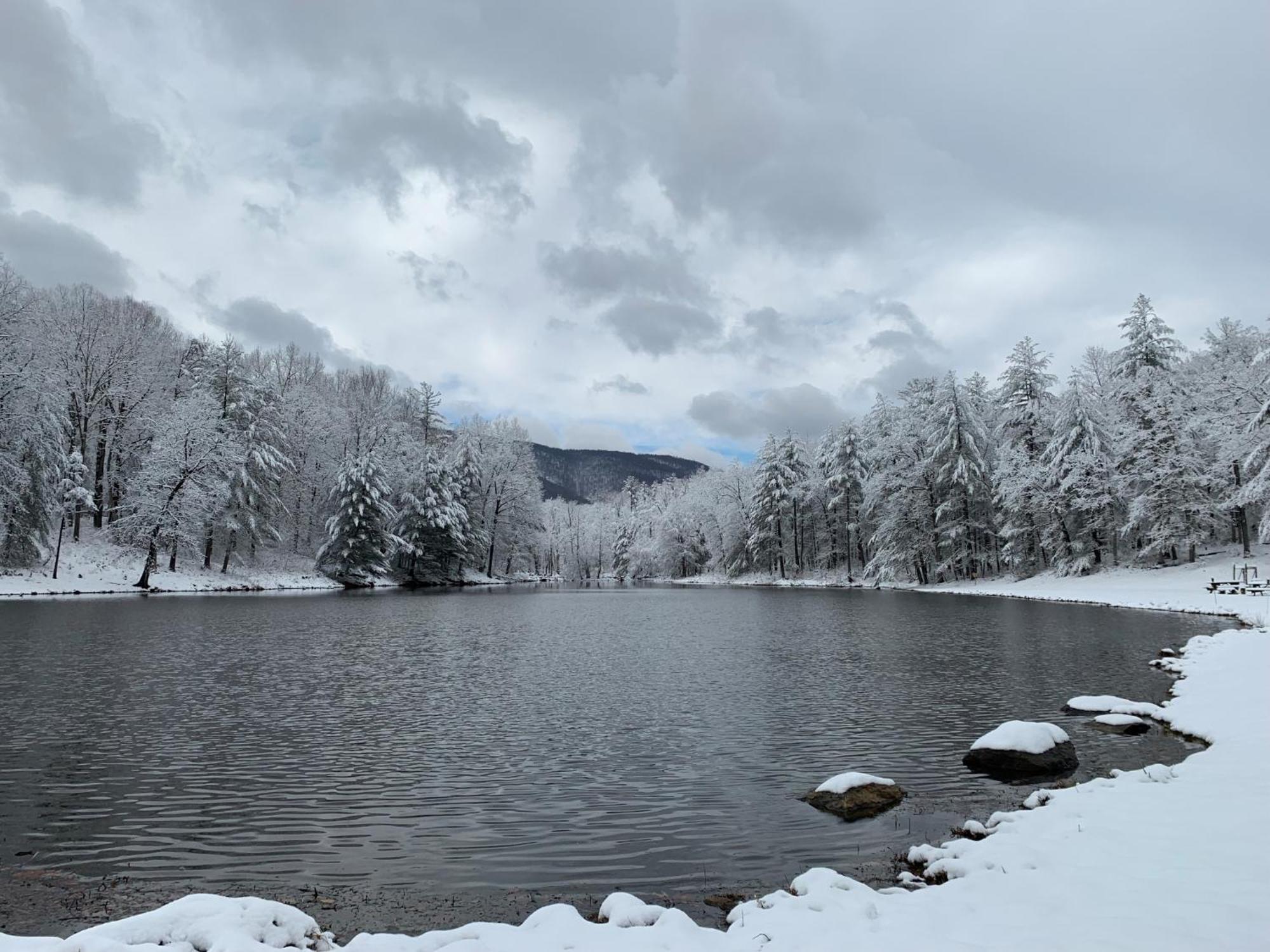 Montfair Resort Farm Crozet Buitenkant foto